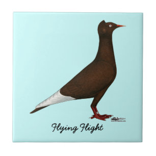 Flying Flight Cap Pigeon Ceramic Tile