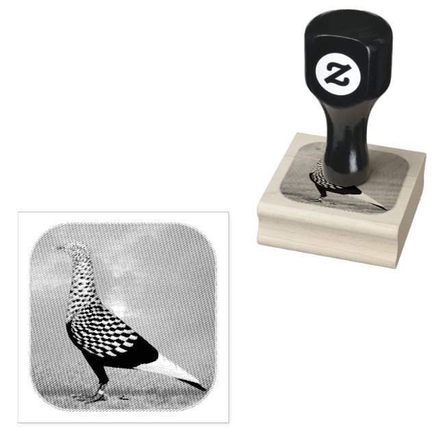 Flying Flight Pigeon and Clouds Rubber Stamp (Stamped)