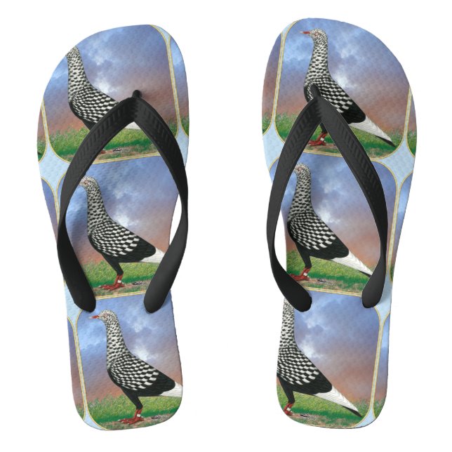 Flying Flight Pigeon and Clouds Thongs (Footbed)