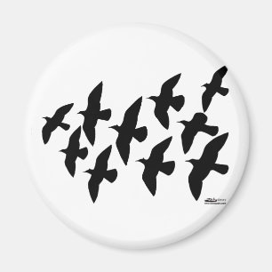 Flying Flight Pigeons Magnet