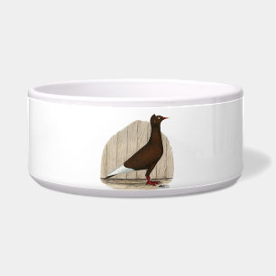 Flying Flight Red Cap Pigeon