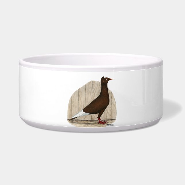 Flying Flight Red Cap Pigeon (Front)