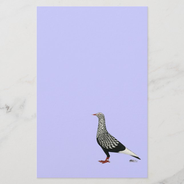 Flying Flight Teager Pigeon (Front)