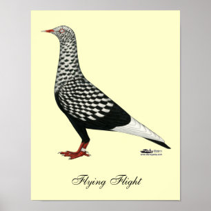 Flying Flight Teager Pigeon Poster