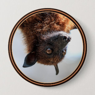 Flying Fox 10 Cm Round Badge