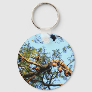 Flying fox fruit bat colony in trees key ring