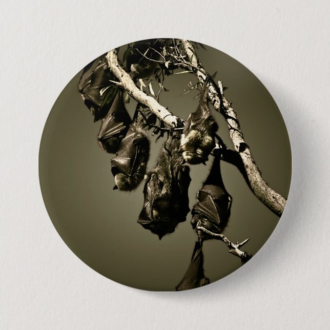 Flying Foxes 7.5 Cm Round Badge (Front)