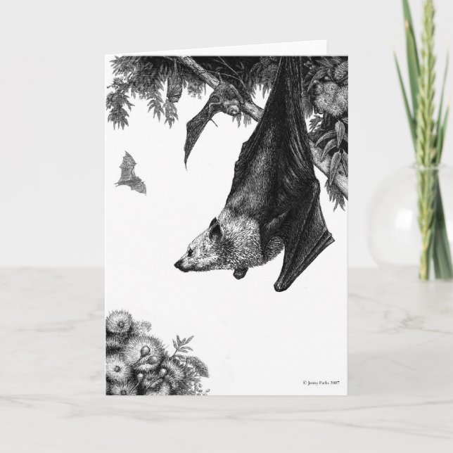 Flying Foxes Cards (Front)