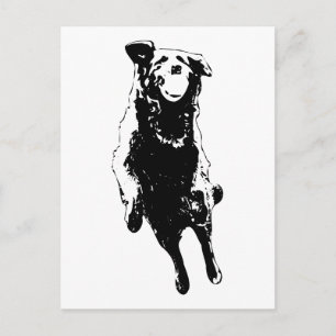 Flying fur swirl postcard