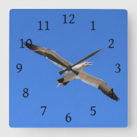 Flying Gannet Bird Blue Sky