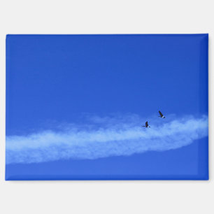 Flying Geese Magnet
