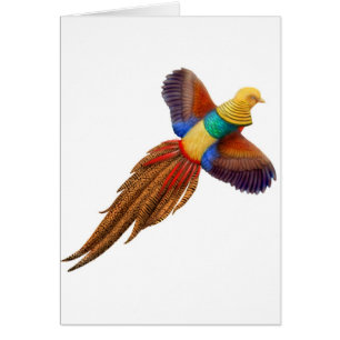 Flying Golden Pheasant Card