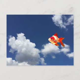 flying goldfish postcard