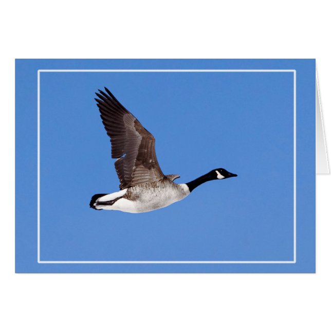 Flying Goose (Front Horizontal)
