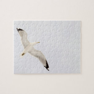 Flying Gull Jigsaw Puzzle