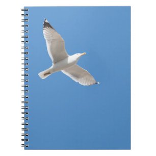 Flying gull notebook
