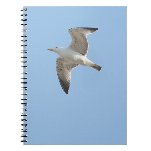 Flying gull notebook (Front)