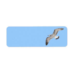 Flying gull return address label