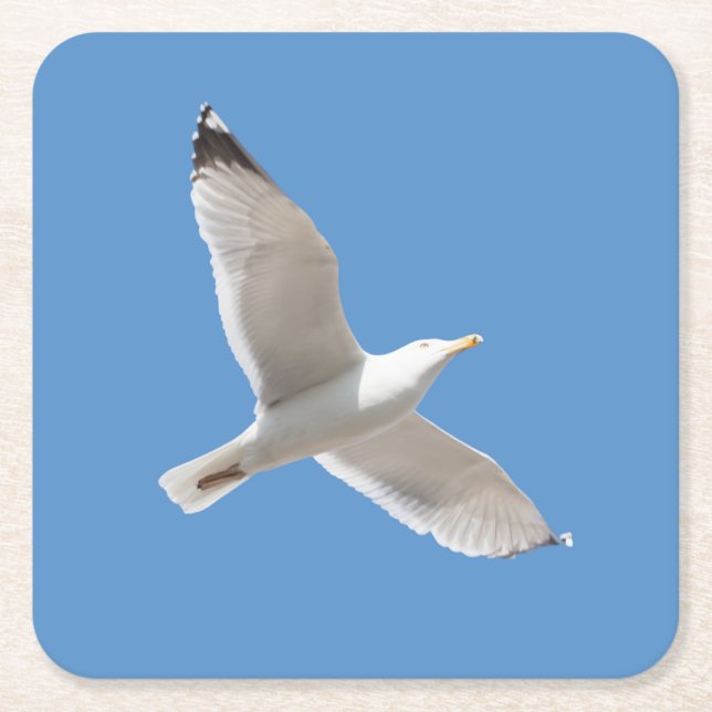 Flying gull square paper coaster (Front)