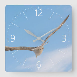 Flying gull square wall clock