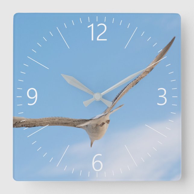 Flying gull square wall clock (Front)