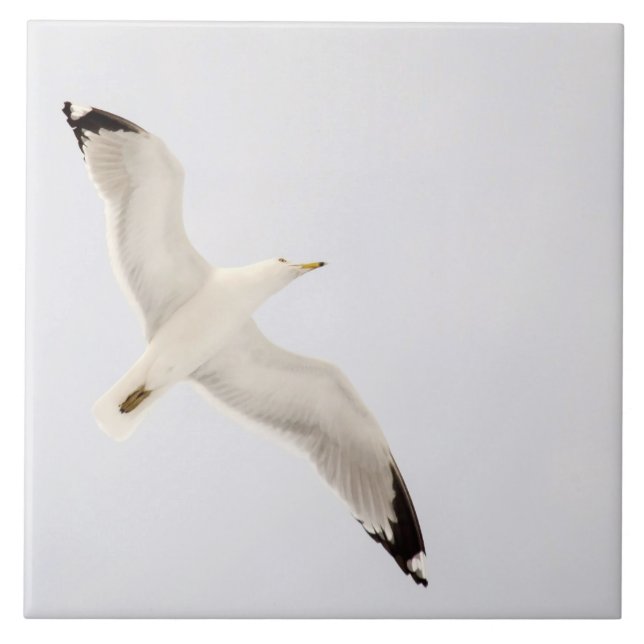 Flying Gull Tile (Front)