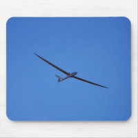 Flying high in the sky