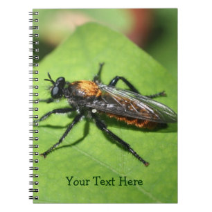 Flying Insect Nature Notebook
