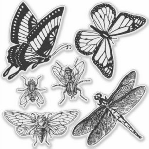 Flying insects transparent stickers