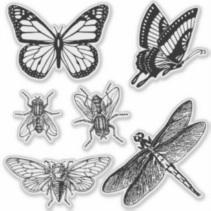 Flying insects transparent stickers