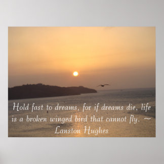 Flying into the Sun Poster