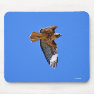 Flying Juvenile Red-Tailed Hawk Wildlife Mousepad