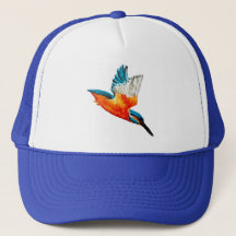 Flying Kingfisher