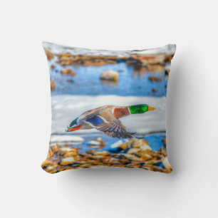 Flying Mallard Duck Drake Wildlife Photo Cushion