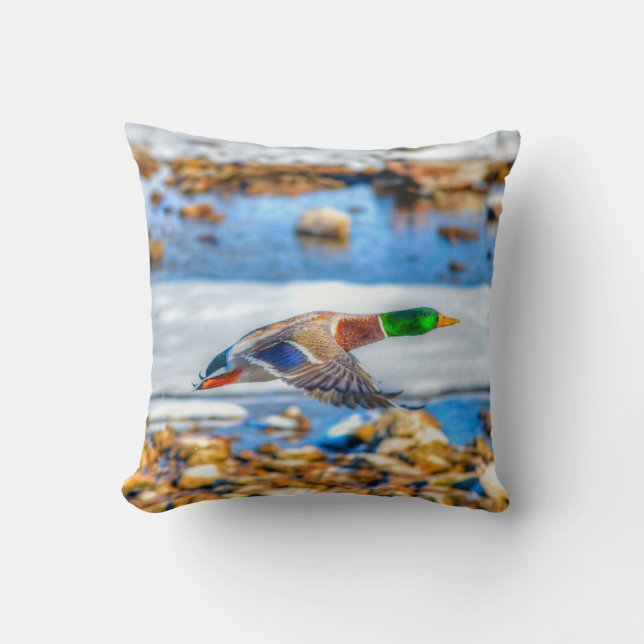 Flying Mallard Duck Drake Wildlife Photo Cushion (Front)