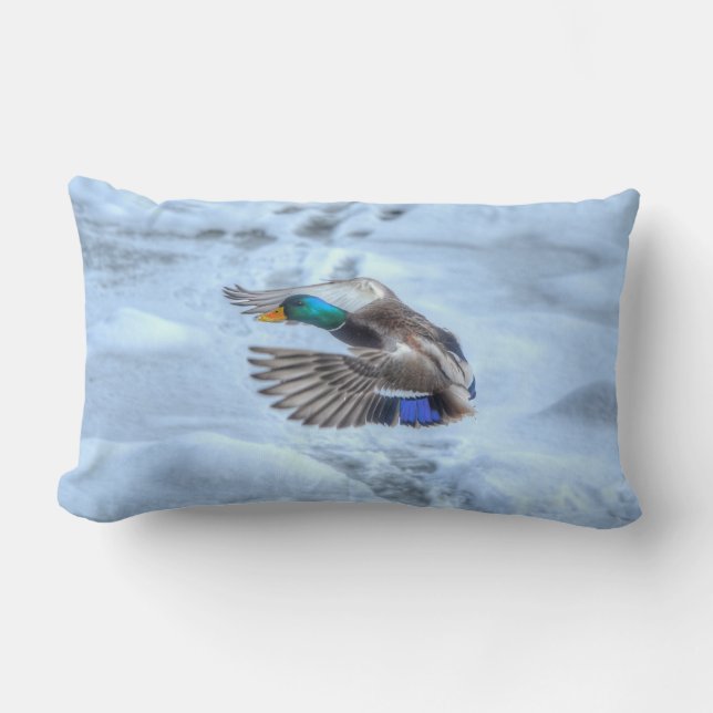 Flying Mallard Duck Drake Wildlife Photo Lumbar Cushion (Front)