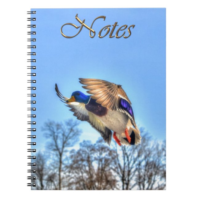 Flying Mallard Duck Drake Wildlife Photo Notebook (Front)