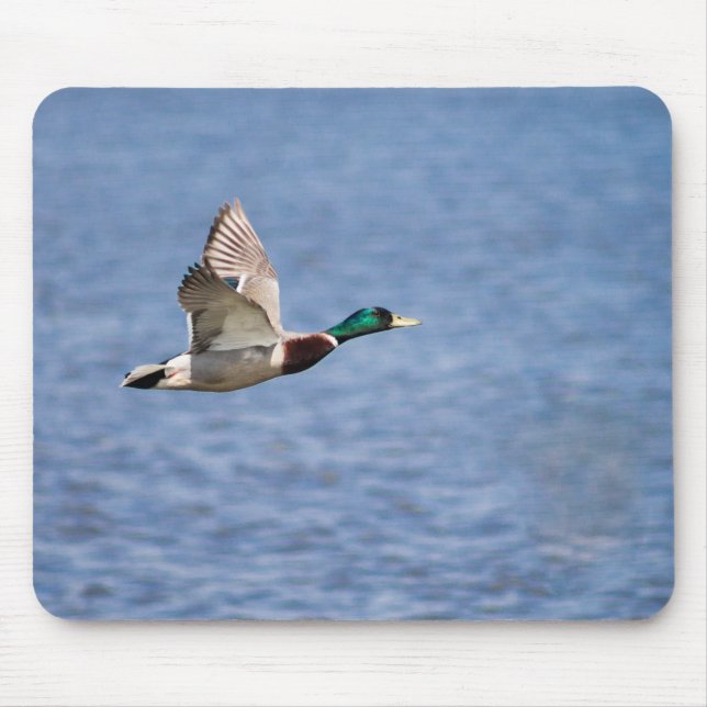 Flying Mallard Mouse Pad (Front)