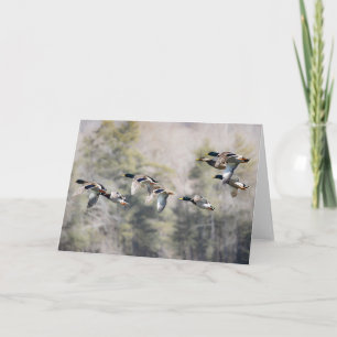 Flying Mallards Card