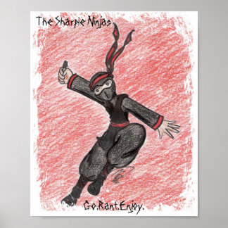 Flying Ninja Poster
