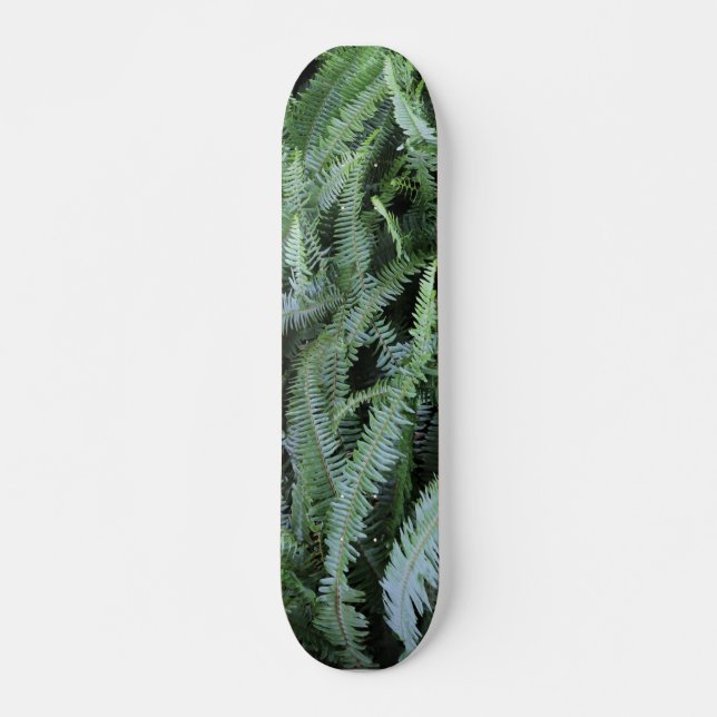 Flying on Ferns Skateboard (Front)