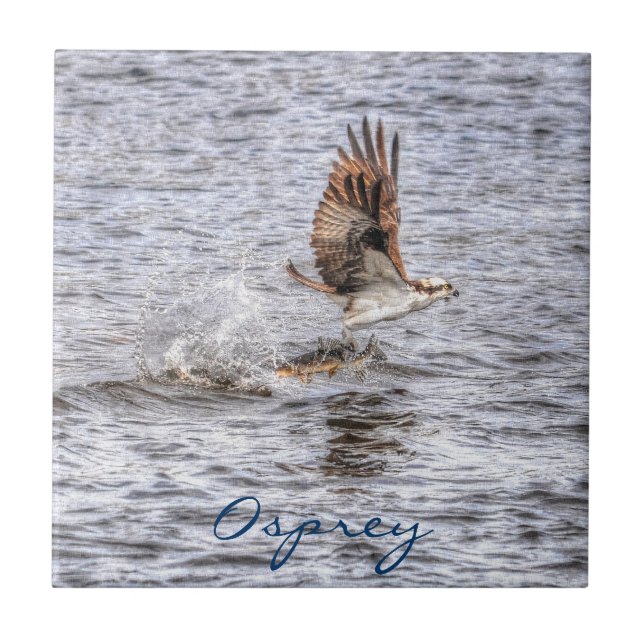 Flying Osprey & Fish HDR Wildlife Photo Gift Tile (Front)