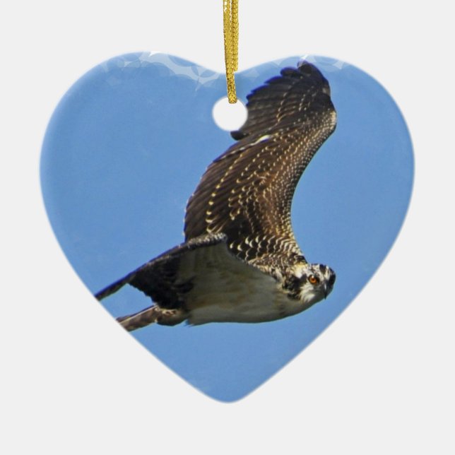 Flying Osprey Ornament (Front)