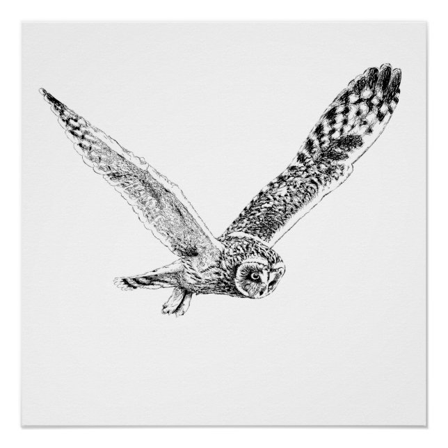 Flying Owl Illustration Poster Print (Front)