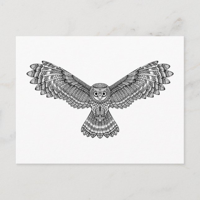 Flying Owl Zendoodle Postcard (Front)