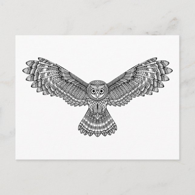 Flying Owl Zendoodle Postcard (Front)