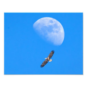 Flying Past the Moon Photo Print