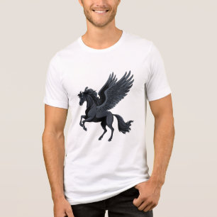 Flying pegasus Tri-Blend shirt