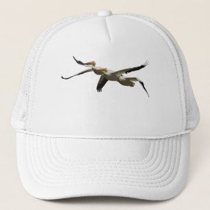 Flying Pelican 2 Hat