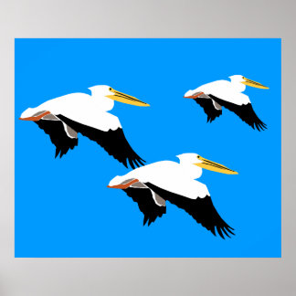 Flying Pelican in Blue Oval Poster